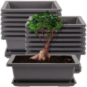 sheutsan 15 pack 8.8 x 6.5 inches rectangular bonsai tree pots with 15 trays, large bonsai training pots stackable succulents cactus planter container with drainage holes, mocha color