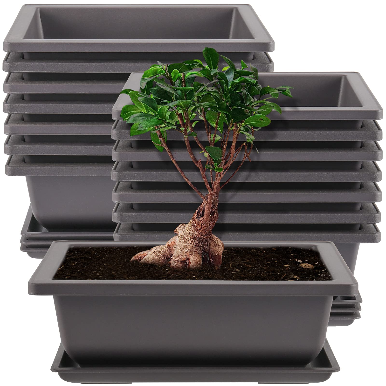 SHEUTSAN 15 Pack 8.8 x 6.5 Inches Rectangular Bonsai Tree Pots with 15 Trays, Large Bonsai Training Pots Stackable Succulents Cactus Planter Container with Drainage Holes, Mocha Color