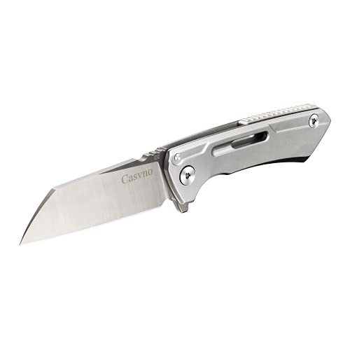 Casvno Pocket Knife Folding knife （F04B）：2.68” D2 Steel Blade& Handle,SpeedSafe Assisted Open, Flipper, Liner and Tip Lock,3.79 oz