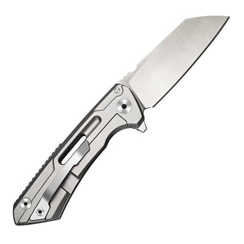 Casvno Pocket Knife Folding knife （F04B）：2.68” D2 Steel Blade& Handle,SpeedSafe Assisted Open, Flipper, Liner and Tip Lock,3.79 oz