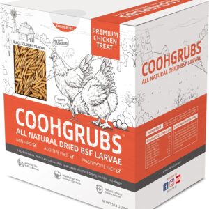 COOHGRUBS Premium Grade Dried Black Soldier Fly Larvae Chicken Treats, Tasty and Healthy Snacks for Hens Ducks, 5 lb. Box