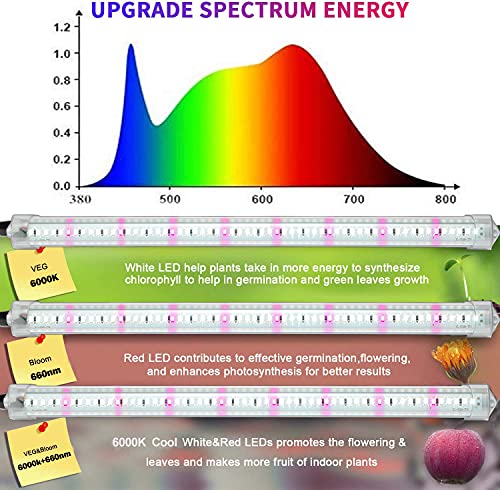 White Grow Light Strips for Indoor Plants, Moya Std 16in 6000K T5 Plant Light Full Spectrum Cabinet Grow Lamp with 240 White & Red LEDs, Auto ON/Off 3/6/12h Timer & 5 Brightness for Houseplants