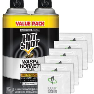Hot Shot 14 oz Wasp and Hornet Killer Spray (2 Pack) Plus Bonus HAO Towelettes