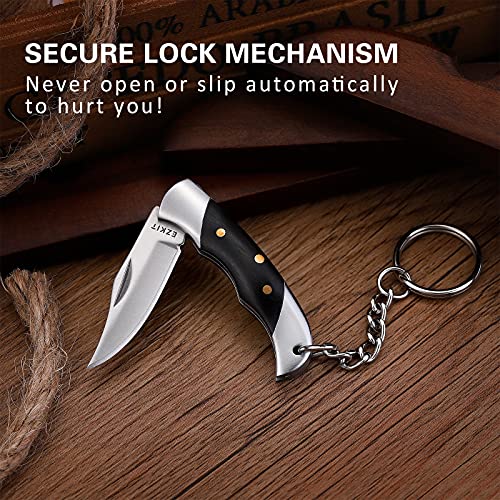 EZKIT Small Pocket Knife, EDC Knife with Stainless Steel and Wood Handle, Small Folding Knife, Blade Length1.5in