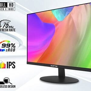 Sceptre IPS 24-Inch Computer LED Monitor 1920x1080 1080p HDMI VGA up to 75Hz 300 Lux Build-in Speakers 2021 Black (E249W-FPT)