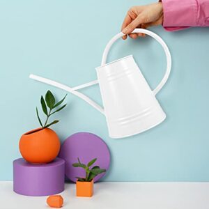 Cabilock 1pc Long Spout Watering Can Horticultural Watering Kettle Indoor/Outdoor Plant Watering Flower Pots Water Bottle Succulent Planters Outdoor Plants Useful Watering Can Watering Pot