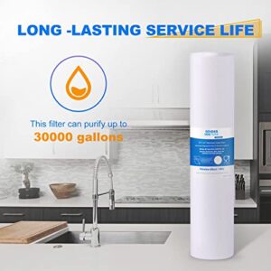 GOLDEN ICEPURE 5 Micron 4.5" x 20" Whole House Sediment Water Filter Compatible for 155358-43, FP25B, P5-20, FPMB5-20, CB-45-2005, SDC-45-2005, AP810-2 2PACK