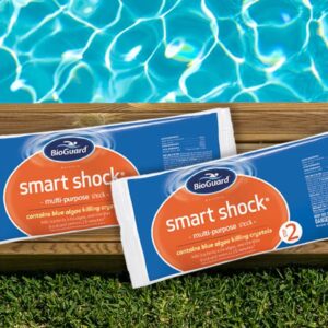 12 Pack BioGuard Smart Shock 1lb Granular Swimming Pool Oxidizer