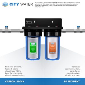 iSpring WGB21B 2-Stage Whole House Water Filtration System & WSP-50SL Reusable Whole House Spin Down Sediment Water Filter with Siliphos, Multiple Micron Sizes, 20 GPM, 1" MNPT + 3/4" FNPT, 50