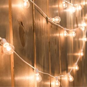 Pallerina 25FT G40 Outdoor String Lights with 27 Globe Clear Bulbs(2 Spare) Patio String Lights Outdoor Waterproof for Party Wedding Garden Commercial Decoration, 5 Watt Bulbs E12 Base- White Wire