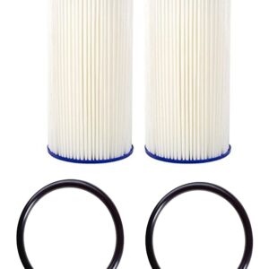 CFS - 2 Pack Pleated High Flow Water Filter Cartridges And 2 O-Rings Compatible with AO-WH-PREL-RP, HDX HDX4PF4 Models - Remove Bad Taste & Odor – Whole House Replacement Water Filter Cartridge