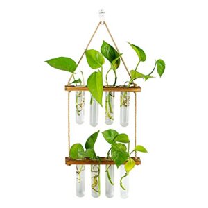 hanging plant propagation stations tubes, glasseam wall glass planter terrarium with wooden stand propogation station vases test tubes for plants propagate hydroponics air flower, 2 tier