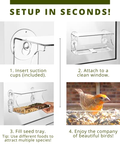 Nature's Envoy Window Bird Feeder – Clear View for Birdwatching - Strong Suction Cups for Outside - Slide Out Seed Tray w/Drain Holes for Easy Refill & Clean - Acrylic Outdoor Feeder for Wild Birds