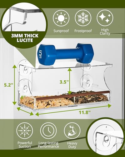 Nature's Envoy Window Bird Feeder – Clear View for Birdwatching - Strong Suction Cups for Outside - Slide Out Seed Tray w/Drain Holes for Easy Refill & Clean - Acrylic Outdoor Feeder for Wild Birds