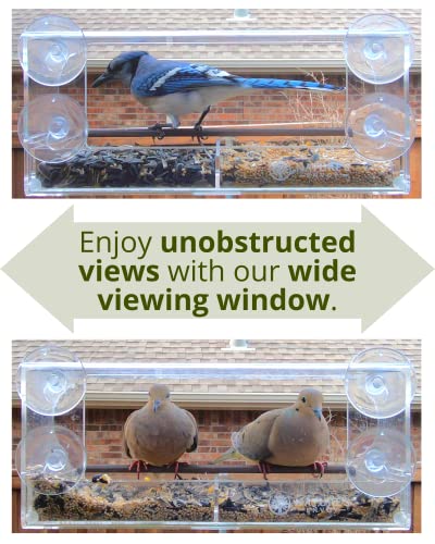 Nature's Envoy Window Bird Feeder – Clear View for Birdwatching - Strong Suction Cups for Outside - Slide Out Seed Tray w/Drain Holes for Easy Refill & Clean - Acrylic Outdoor Feeder for Wild Birds