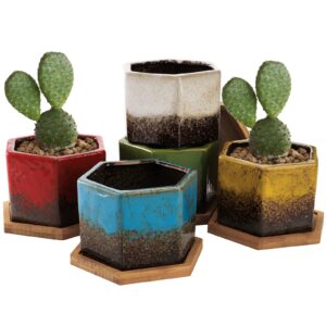 topzea set of 5 ceramic succulent planter pots, 4.2 inch hexagon ceramic glazed cactus pots, geometric mini flower plant container with drainage hole & bamboo tray for decorating home office