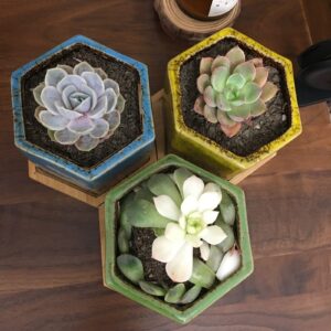 TOPZEA Set of 5 Ceramic Succulent Planter Pots, 4.2 Inch Hexagon Ceramic Glazed Cactus Pots, Geometric Mini Flower Plant Container with Drainage Hole & Bamboo Tray for Decorating Home Office