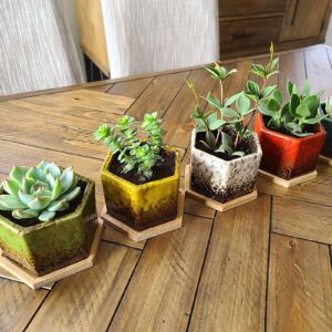 TOPZEA Set of 5 Ceramic Succulent Planter Pots, 4.2 Inch Hexagon Ceramic Glazed Cactus Pots, Geometric Mini Flower Plant Container with Drainage Hole & Bamboo Tray for Decorating Home Office