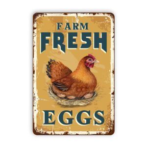 farm fresh eggs tin signs - vintage country chicken hen rooster tin signs funny chicken coop metal signs outdoor chicken decor for chicken lovers chicken house decor 8×12 inch