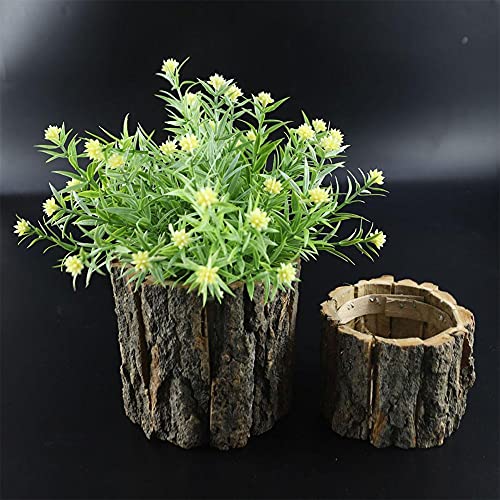 QIANSHENG Wooden Flower Vase Succulent Planter Pots Decorative Tree Stump Shape Flower Pot Round Bark Basket Bonsai Pots for Indoor Outdoor Home Garden Decor