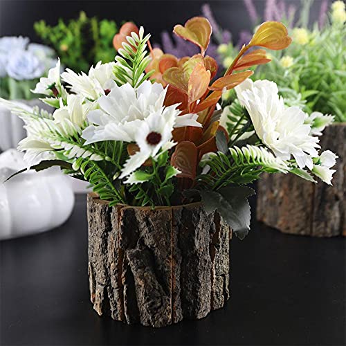 QIANSHENG Wooden Flower Vase Succulent Planter Pots Decorative Tree Stump Shape Flower Pot Round Bark Basket Bonsai Pots for Indoor Outdoor Home Garden Decor