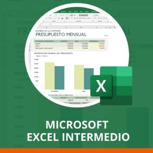 Curso Excel Intermedio Online | Aprende a automatizar resúmenes esquemas y tablas en Excel | Incluye Acceso al Curso Autoestudio+Practica Interactiva+Videos+Libro+Ejercicios Tipo+Certificado