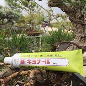 Kiyonal New Bonsai Pruning Cutting Paste 100g x 2pcs (Value Bulk Set) Made in Japan