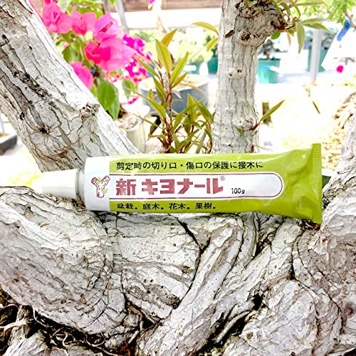 Kiyonal New Bonsai Pruning Cutting Paste 100g x 2pcs (Value Bulk Set) Made in Japan