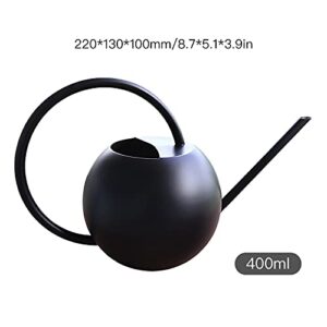 BDGWOIP Indoor Outdoor Watering Can, Stainless Steel Flower Cans Long Spout Plants Water Can Mini Device Plant Waterer for House Bonsai Garden Flower, Black, (33B15G0KNRFXX291L8GAWKSO)