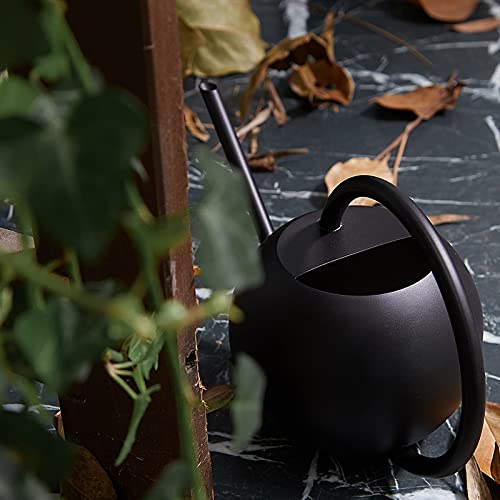 BDGWOIP Indoor Outdoor Watering Can, Stainless Steel Flower Cans Long Spout Plants Water Can Mini Device Plant Waterer for House Bonsai Garden Flower, Black, (33B15G0KNRFXX291L8GAWKSO)