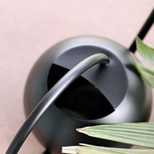 BDGWOIP Indoor Outdoor Watering Can, Stainless Steel Flower Cans Long Spout Plants Water Can Mini Device Plant Waterer for House Bonsai Garden Flower, Black, (33B15G0KNRFXX291L8GAWKSO)