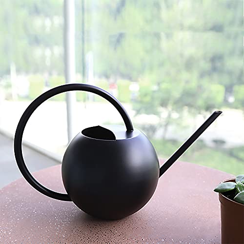 BDGWOIP Indoor Outdoor Watering Can, Stainless Steel Flower Cans Long Spout Plants Water Can Mini Device Plant Waterer for House Bonsai Garden Flower, Black, (33B15G0KNRFXX291L8GAWKSO)