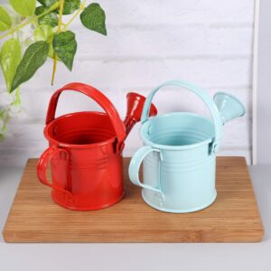 DOITOOL Metal Watering Can, 2Pcs Kids Watering Cans, Iron Watering Kettle Small Watering Pot for Home Office Indoor Outdoor Succulents, Potted Flowers, Bonsai Plants (Red and Light Blue)