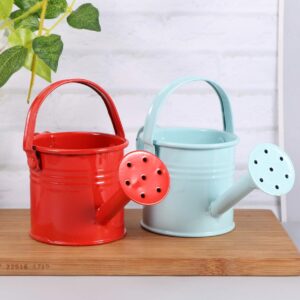 DOITOOL Metal Watering Can, 2Pcs Kids Watering Cans, Iron Watering Kettle Small Watering Pot for Home Office Indoor Outdoor Succulents, Potted Flowers, Bonsai Plants (Red and Light Blue)