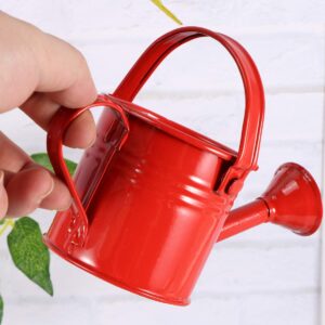 DOITOOL Metal Watering Can, 2Pcs Kids Watering Cans, Iron Watering Kettle Small Watering Pot for Home Office Indoor Outdoor Succulents, Potted Flowers, Bonsai Plants (Red and Light Blue)