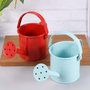 DOITOOL Metal Watering Can, 2Pcs Kids Watering Cans, Iron Watering Kettle Small Watering Pot for Home Office Indoor Outdoor Succulents, Potted Flowers, Bonsai Plants (Red and Light Blue)