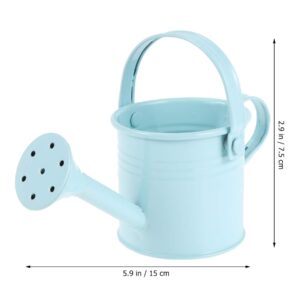 DOITOOL Metal Watering Can, 2Pcs Kids Watering Cans, Iron Watering Kettle Small Watering Pot for Home Office Indoor Outdoor Succulents, Potted Flowers, Bonsai Plants (Red and Light Blue)