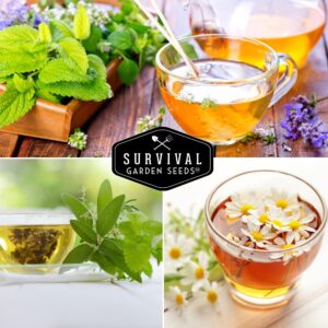 Survival Garden Seeds Medicinal Tea Collection - 9 Non-GMO Heirloom Herbs to Grow in The Vegetable Garden - Chamomile, Lavender, Echinacea, Catnip, Lemon Balm, Marigold, Sage, Peppermint, Red Yarrow