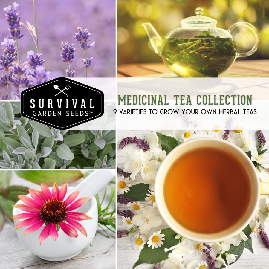 Survival Garden Seeds Medicinal Tea Collection - 9 Non-GMO Heirloom Herbs to Grow in The Vegetable Garden - Chamomile, Lavender, Echinacea, Catnip, Lemon Balm, Marigold, Sage, Peppermint, Red Yarrow