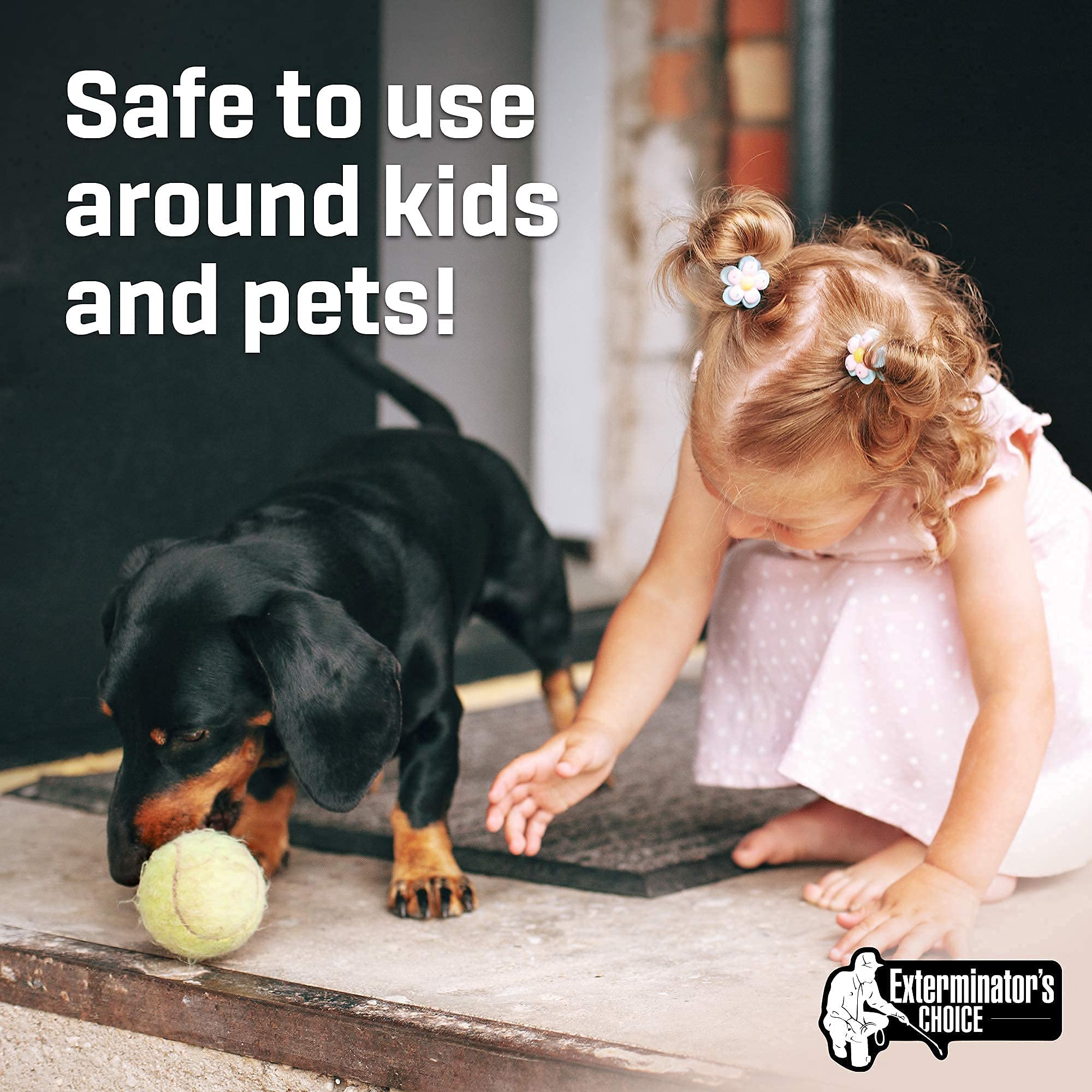 Exterminators Choice Rat Defense Spray | 32 Ounce and 8 Large Glue Traps | Natural, Non-Toxic Rat Repellent | Quick, Easy Pest Control | Safe Around Kids & Pets
