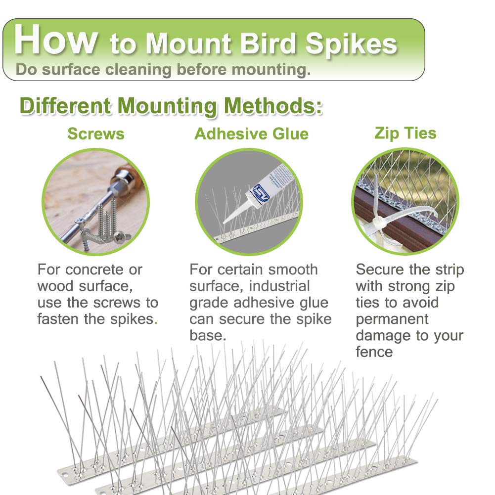 Bird Spikes Stainless Steel 60ft Coverage for Pigeons Small Birds Outdoor Use Bird Deterrent Strips Devices for Fence Crows Woodpeckers with 304 Stainless Steel Pins and Base Not Rusty