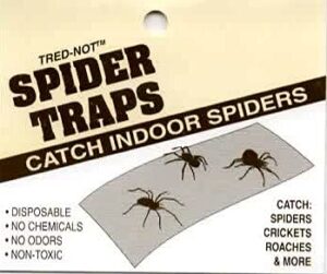 12 trednot spider traps/sticky insect glue board