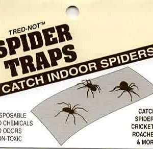 12 TredNot Spider Traps/Sticky Insect Glue Board