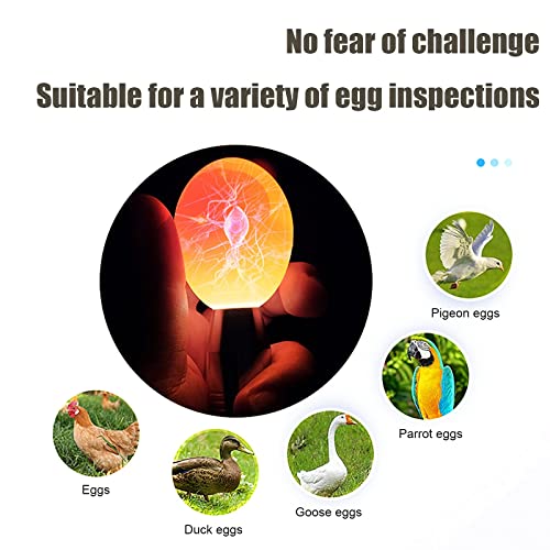 ZZBUY Egg Candler, Egg Incubator Light【2024 Upgraded Charger】,Egg Candler candling Checker Light for Chicken Quail Dark Canary Pigeon All Eggs Battery Powered(Include Egg Candling Guide)