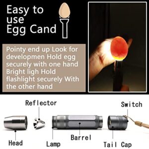 ZZBUY Egg Candler, Egg Incubator Light【2024 Upgraded Charger】,Egg Candler candling Checker Light for Chicken Quail Dark Canary Pigeon All Eggs Battery Powered(Include Egg Candling Guide)