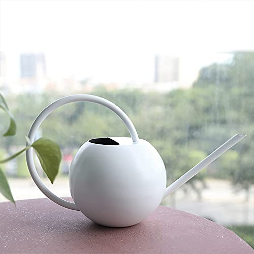 Flueyer 0.4L Metal Watering Can, Long Spout Watering Kettle Indoor Outdoor Home, Modern Style Garden Watering Pot for Office House Watering Bonsai Plants
