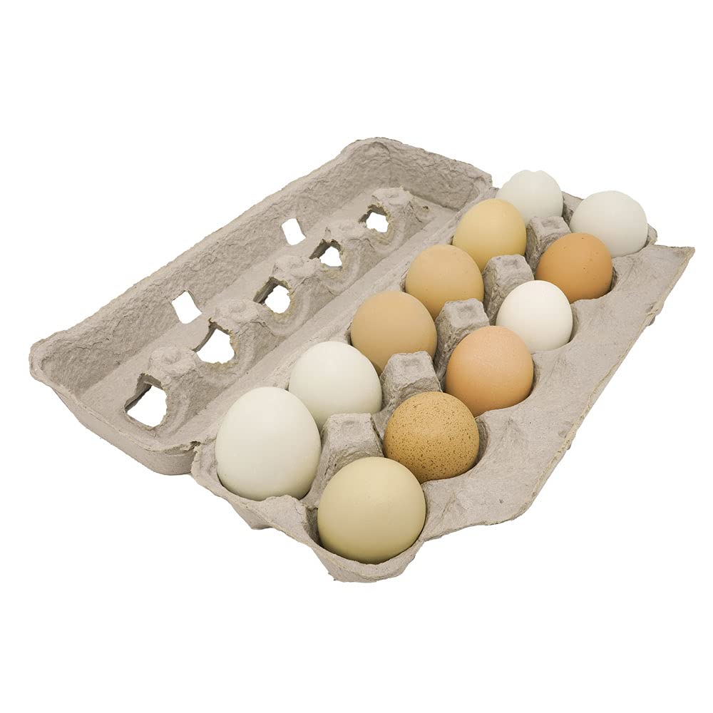 Jumbo Blank Egg Cartons 200 Cnt