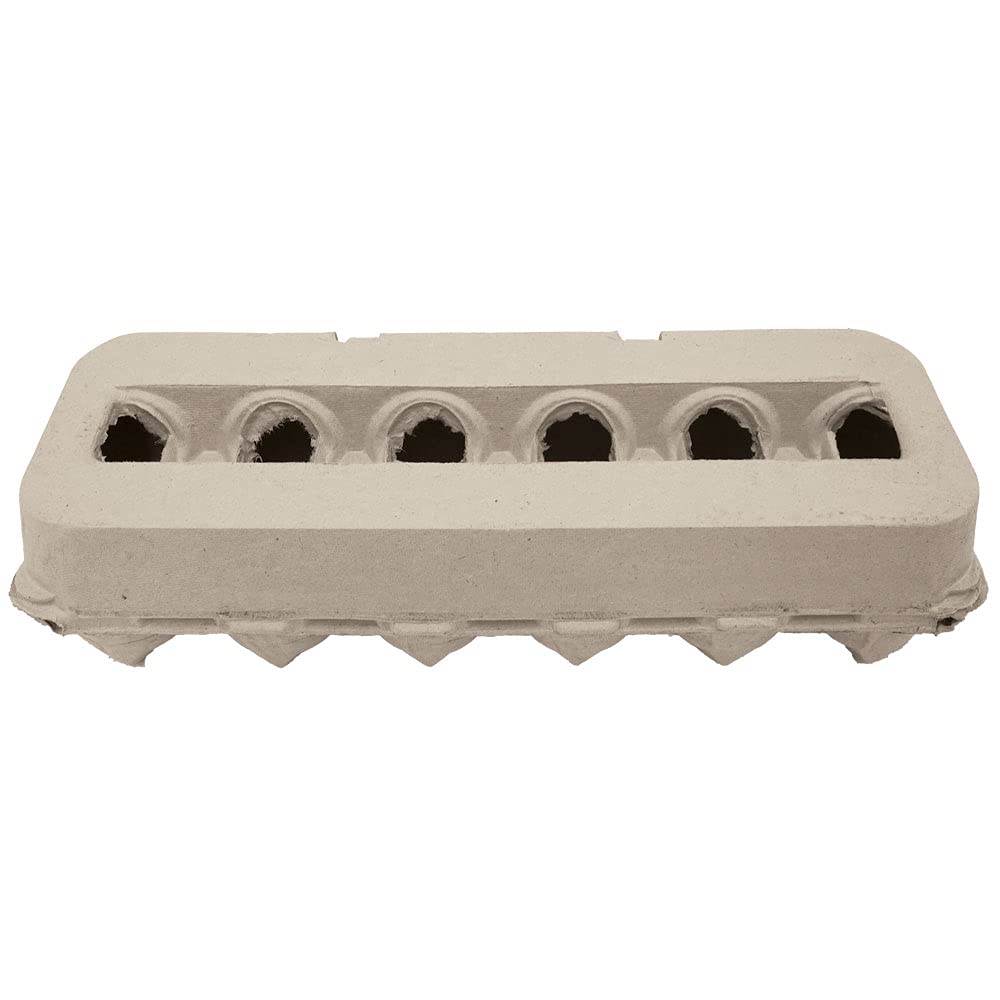 Jumbo Blank Egg Cartons 200 Cnt