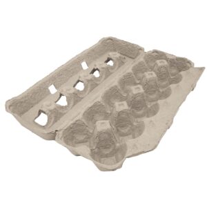 Jumbo Blank Egg Cartons 200 Cnt