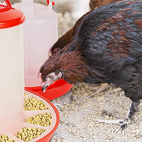 winemana Chick Feeder 1 Lb and Waterer 1.5 L Kit, Hanging Poultry Plastic Containers for Outdoor (Size: 7" x 7" )